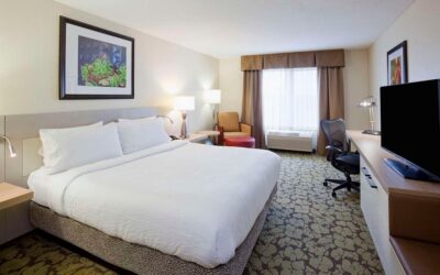 Eagan MN HGI Guest Room 2